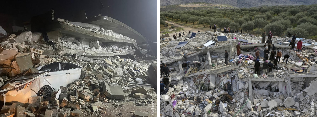 제목을 입력하세요 (2).jpg