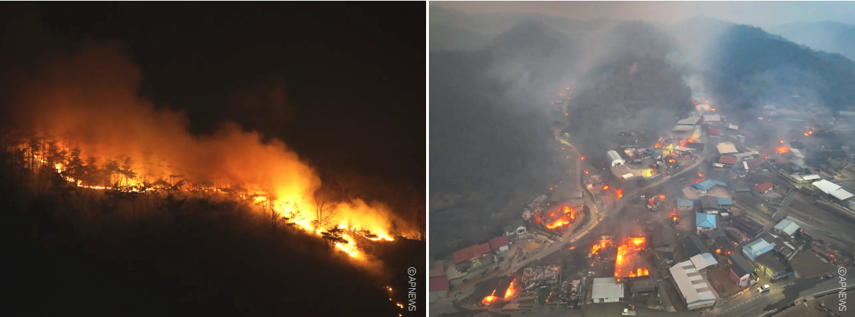 [지구가족사랑1%운동] 산불 피해 지역 긴급구호를 위한 모금 안내