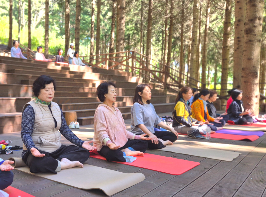 통일사업 |  2차&3차 ‘웰니스 평화여정’ 실시